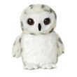 Little Powder The Stuffed Snowy Owl