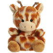 Safara The Stuffed Giraffe